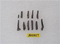 藏品(蟲管)的圖片
